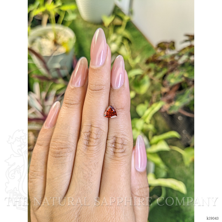 1.12 Ct. Garnet from Ceylon (Sri Lanka)