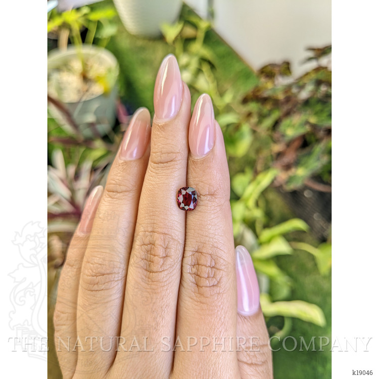 1.53 Ct. Garnet from Ceylon (Sri Lanka)