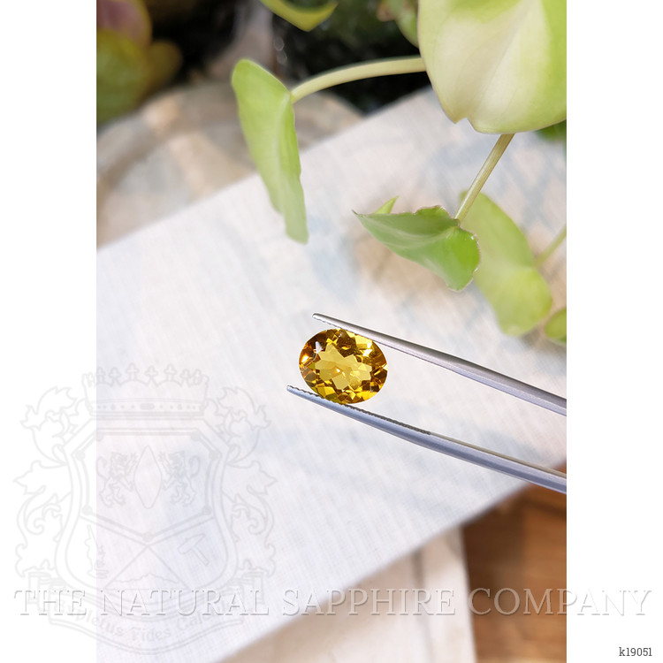 4.01 Ct. Citrine