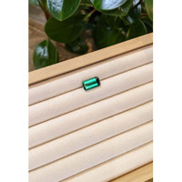 6.53 Ct. Tourmaline from Brazil Life Style