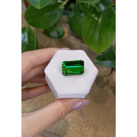 21.72 Ct. Tourmaline from Brazil Life Style