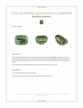 2.97 Ct. Tourmaline from Brazil Appraisal