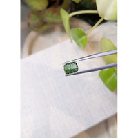 2.97 Ct. Tourmaline from Brazil Life Style