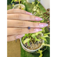 0.99 Ct. Spinel from Ceylon (Sri Lanka) Life Style