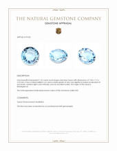 1.42 Ct. Topaz from Madagascar Appraisal