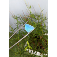 12.85 Ct. Black Opal from Australia Life Style