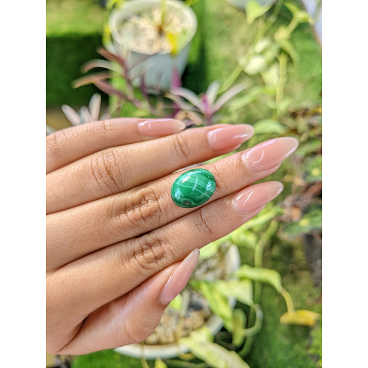 11.41 Ct. Cabochon Malachite from Russia