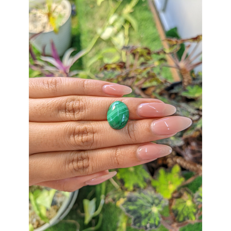 11.41 Ct. Cabochon Malachite from Russia