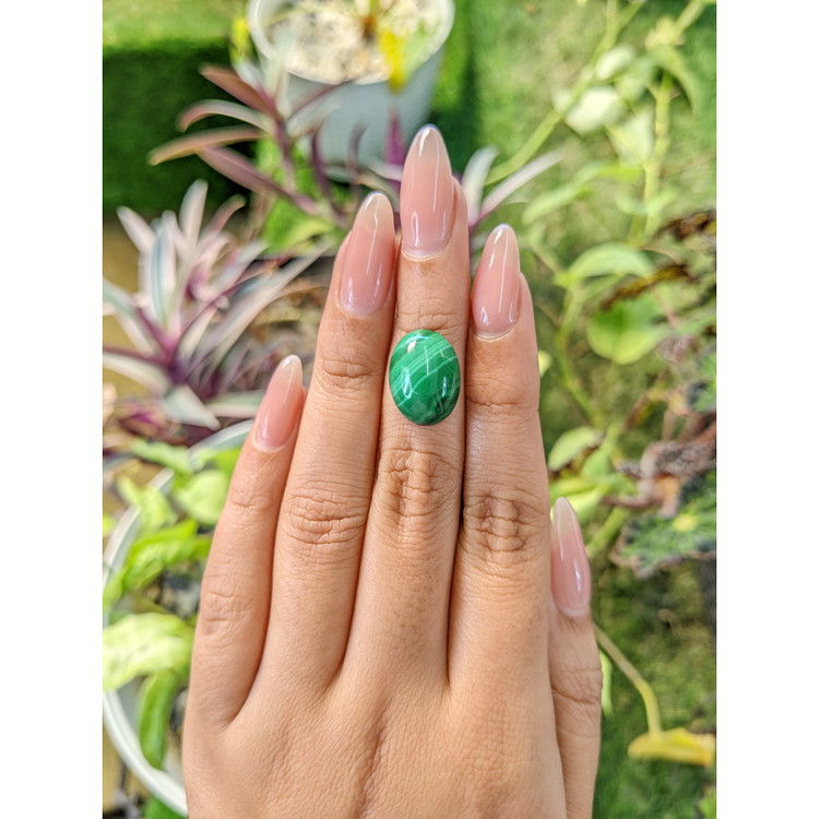 11.41 Ct. Cabochon Malachite from Russia