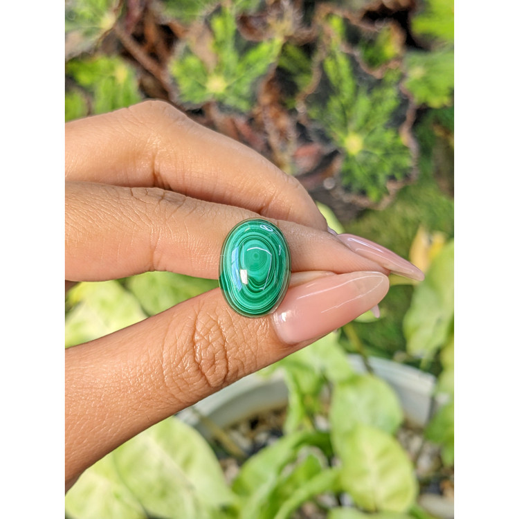 21.13 Ct. Cabochon Malachite from Russia