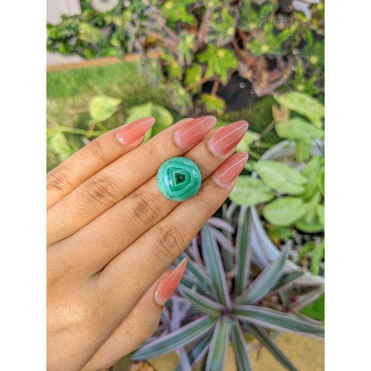 28.70 Ct. Cabochon Malachite from Russia