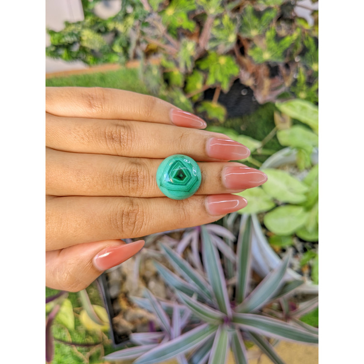 28.70 Ct. Cabochon Malachite from Russia