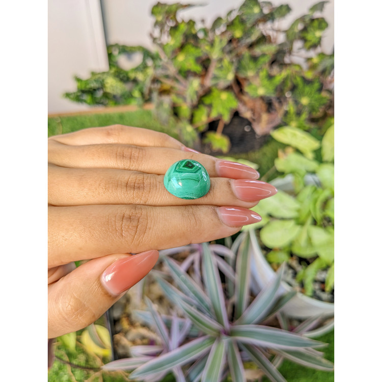 28.70 Ct. Cabochon Malachite from Russia