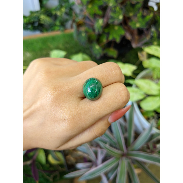 24.81 Ct. Cabochon Malachite from Russia