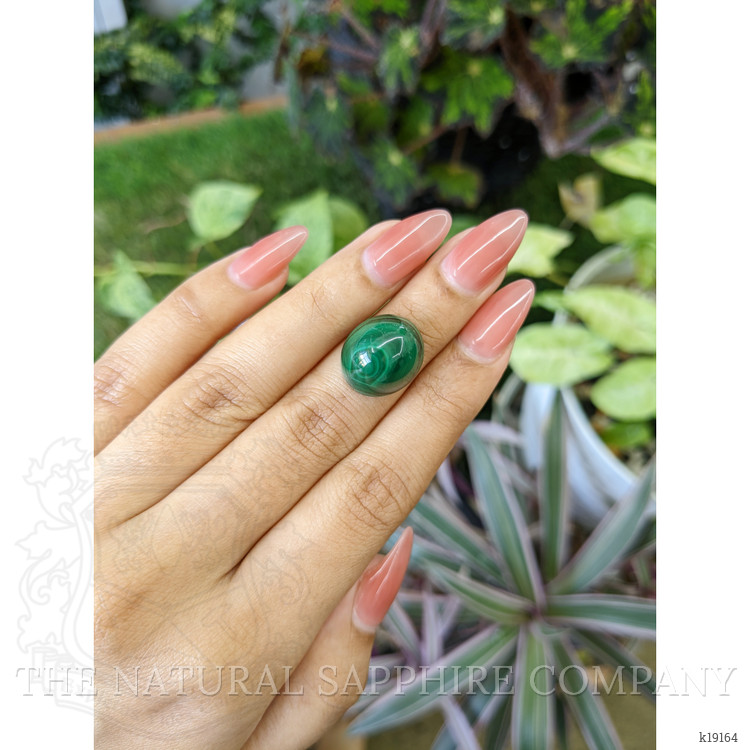 24.81 Ct. Cabochon Malachite from Russia