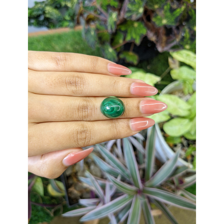 24.81 Ct. Cabochon Malachite from Russia