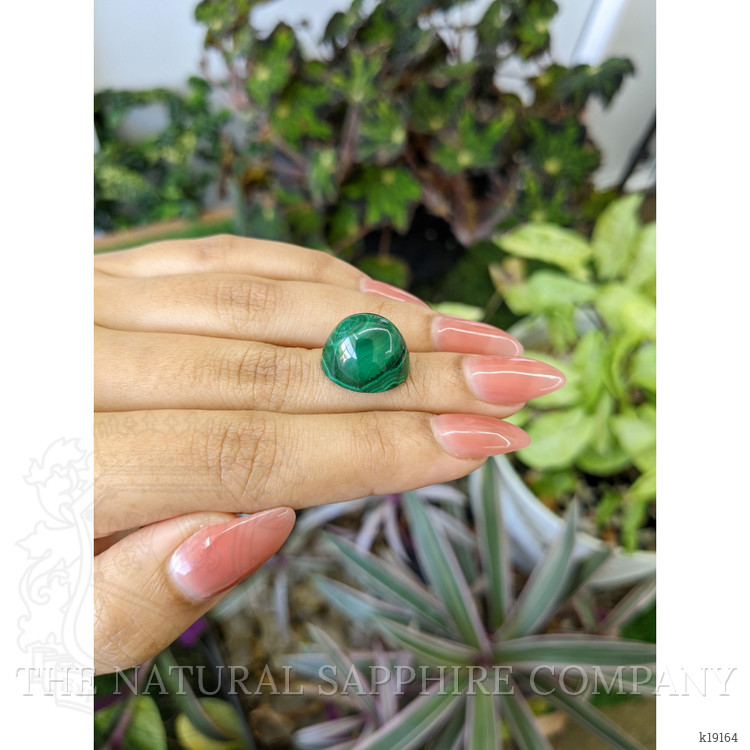 24.81 Ct. Cabochon Malachite from Russia