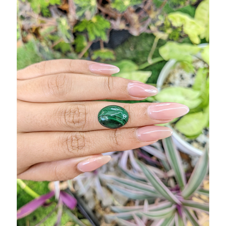 11.12 Ct. Cabochon Malachite from Russia