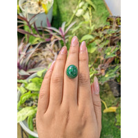 26.16 Ct. Cabochon Malachite from Russia Life Style