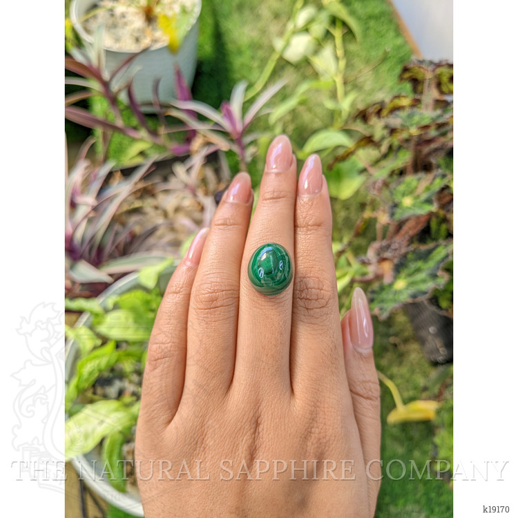 26.16 Ct. Cabochon Malachite from Russia
