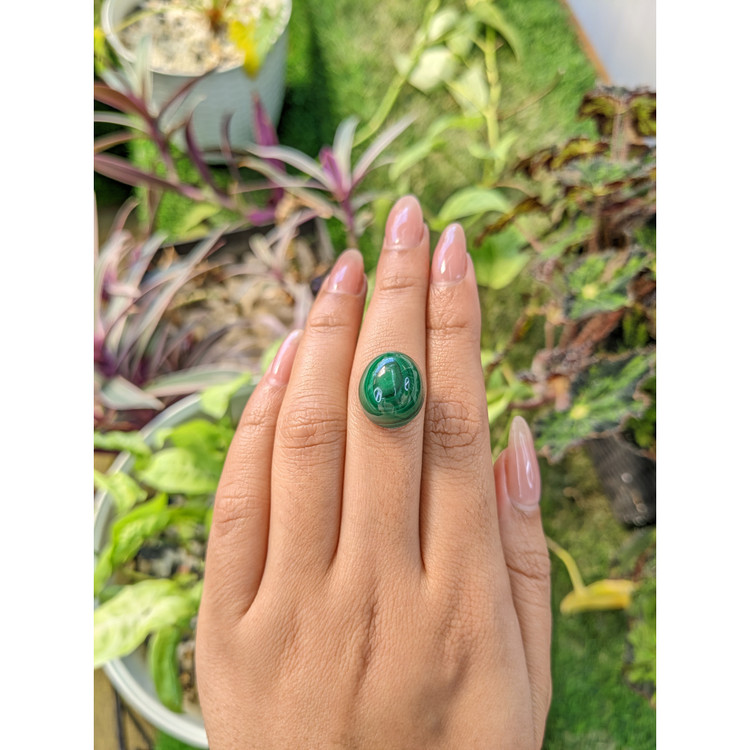 26.16 Ct. Cabochon Malachite from Russia