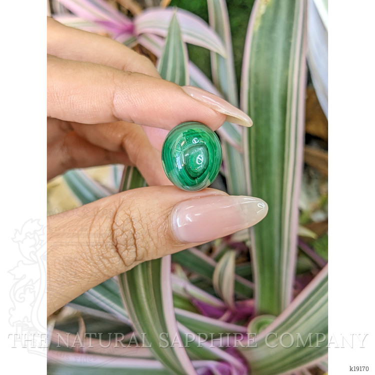 26.16 Ct. Cabochon Malachite from Russia