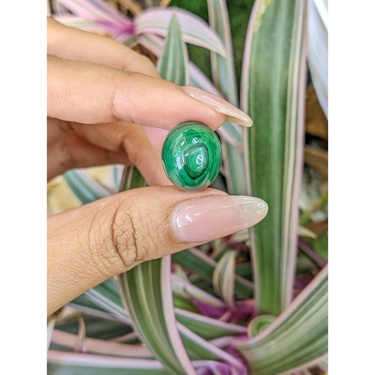26.16 Ct. Cabochon Malachite from Russia