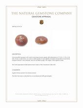 6.30 Ct. Brown Cabochon Agate from India Appraisal