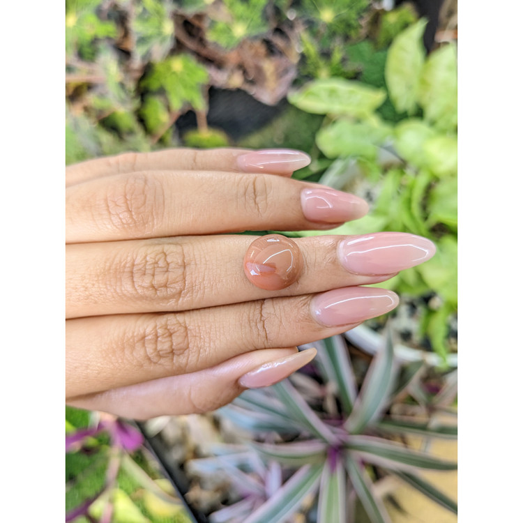 6.30 Ct. Cabochon White Opal from India