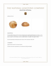 5.52 Ct. Cabochon White Opal from India Appraisal