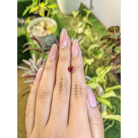 1.03 Ct. Garnet from Ceylon (Sri Lanka) Life Style