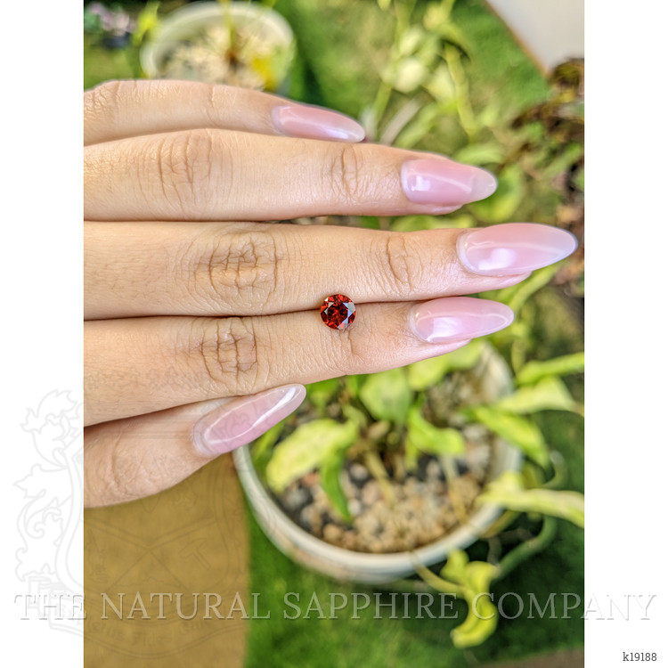 1.03 Ct. Garnet from Ceylon (Sri Lanka)