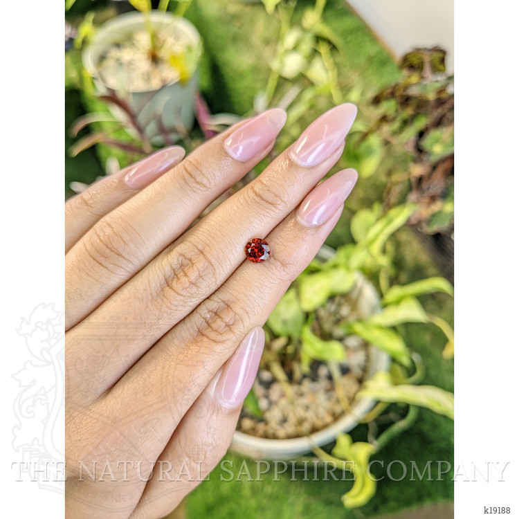 1.03 Ct. Garnet from Ceylon (Sri Lanka)