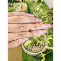 1.00 Ct. Garnet from Ceylon (Sri Lanka) Life Style