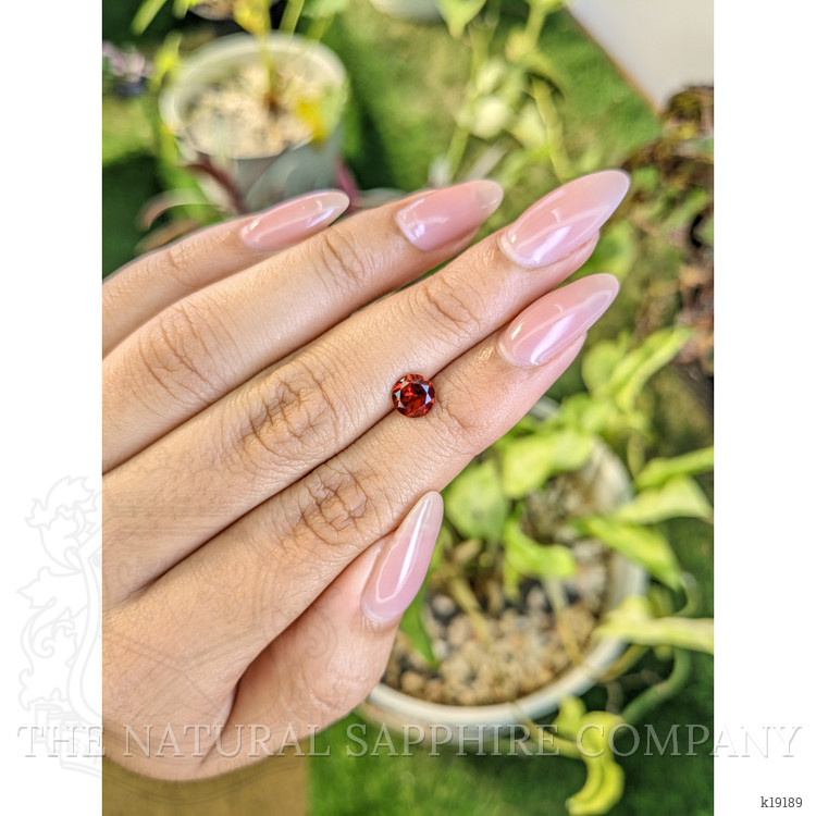 1.00 Ct. Garnet from Ceylon (Sri Lanka)