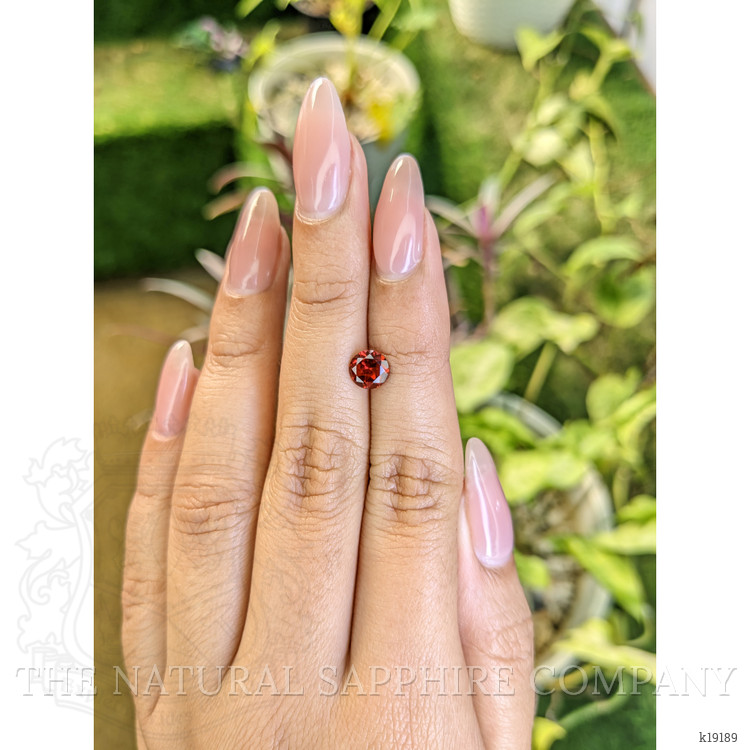 1.00 Ct. Garnet from Ceylon (Sri Lanka)