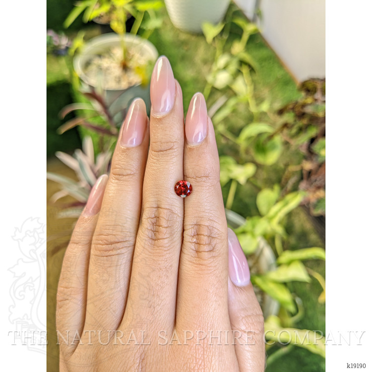 1.02 Ct. Garnet from Ceylon (Sri Lanka)