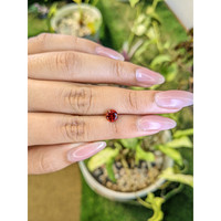 1.09 Ct. Garnet from Ceylon (Sri Lanka) Life Style
