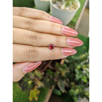 0.90 Ct. Garnet from Ceylon (Sri Lanka) Life Style