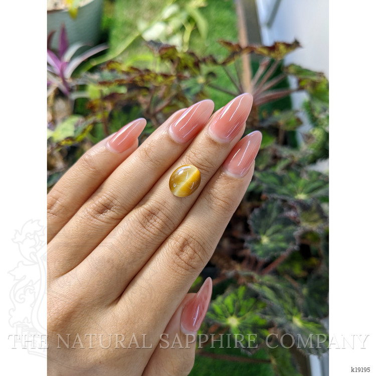 3.95 Ct. Cabochon Tiger's Eye from Brazil