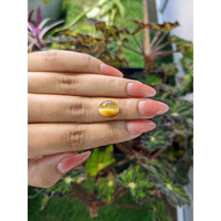 3.95 Ct. Cabochon Tiger's Eye from Brazil Life Style