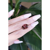 8.65 Ct. Tourmaline from Mozambique Life Style