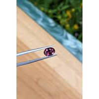 1.91 Ct. Purplish Pink Garnet from Ceylon (Sri Lanka) Life Style