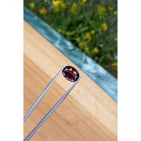 5.12 Ct. Red Garnet from Ceylon (Sri Lanka) Life Style