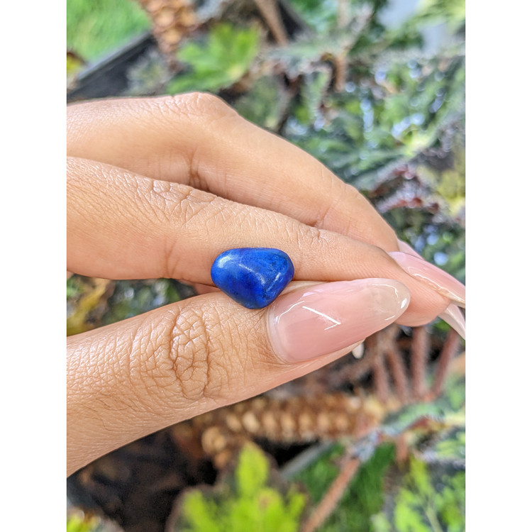 3.99 Ct. Cabochon Lapis from Afghanistan