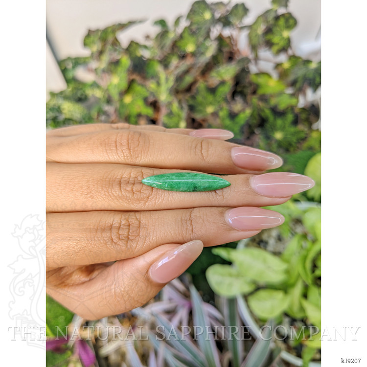 6.71 Ct. Cabochon Jade from Burma (Myanmar)