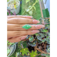 7.68 Ct. Cabochon Jade from Burma (Myanmar) Life Style