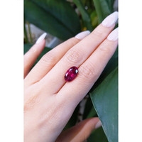 5.05 Ct. Tourmaline from Mozambique Life Style