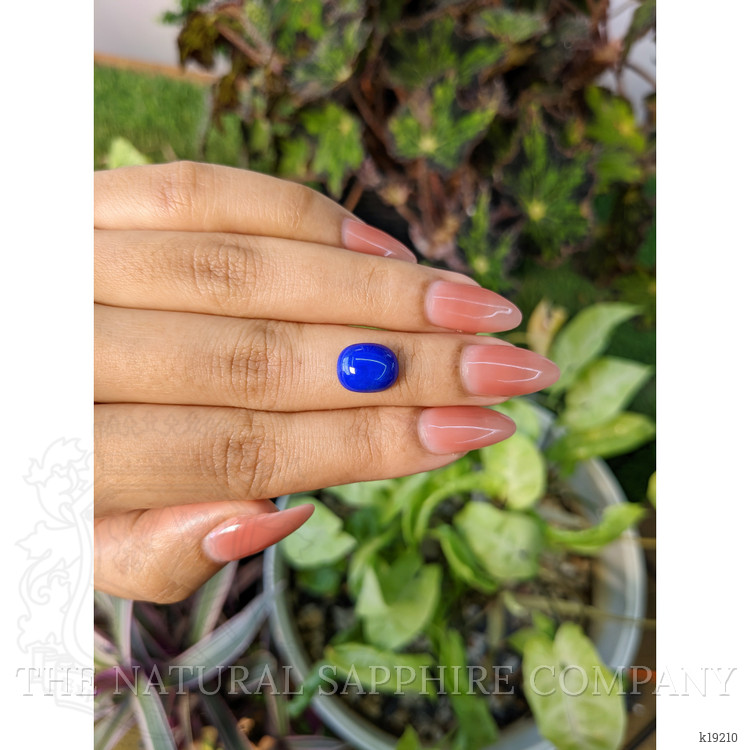 3.50 Ct. Cabochon Lapis from Afghanistan