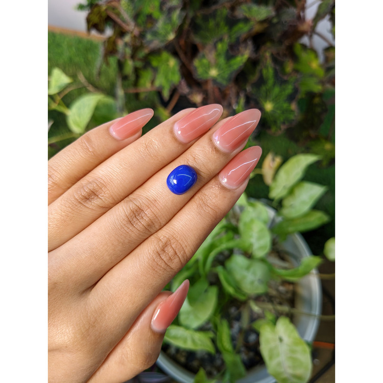 3.50 Ct. Cabochon Lapis from Afghanistan